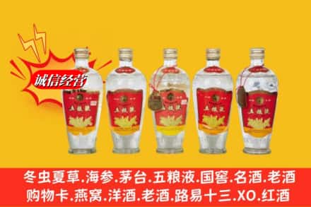 右江区名酒回收老五粮液.jpg