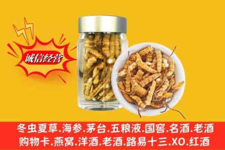 右江区名酒回收散虫草.jpg