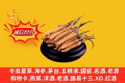右江区名酒回收冬虫夏草.jpg